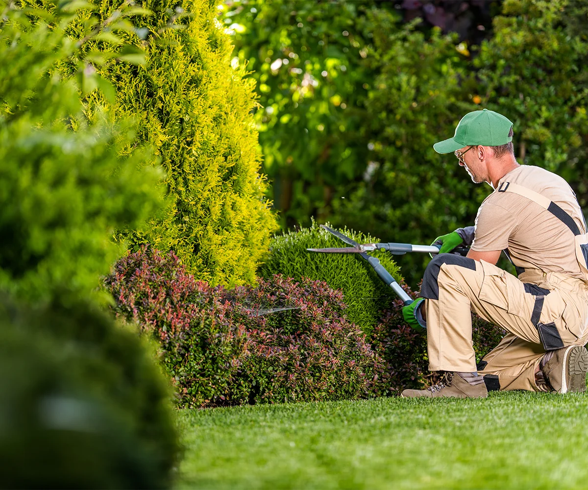 Landscaping